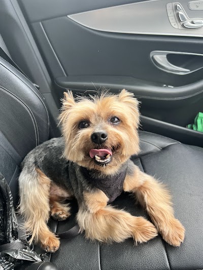 Grooming Van Image