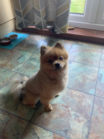 Grooming Van Image