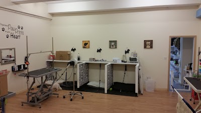 Grooming Van Image