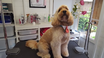 Grooming Van Image