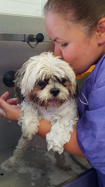 Grooming Van Image