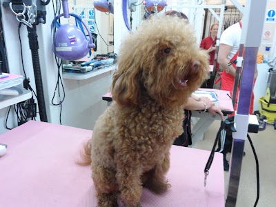 Grooming Van Image