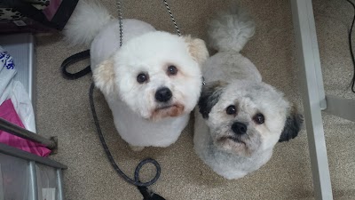 Grooming Van Image
