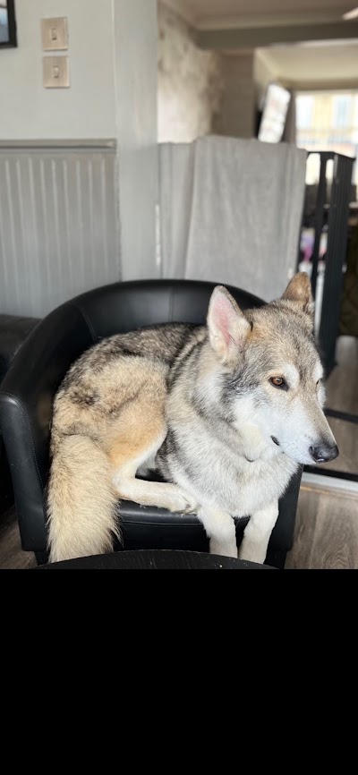 Grooming Van Image
