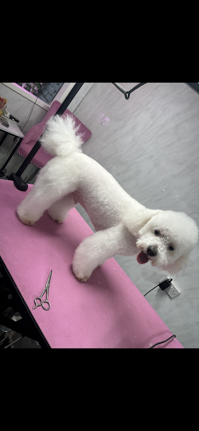Grooming Van Image