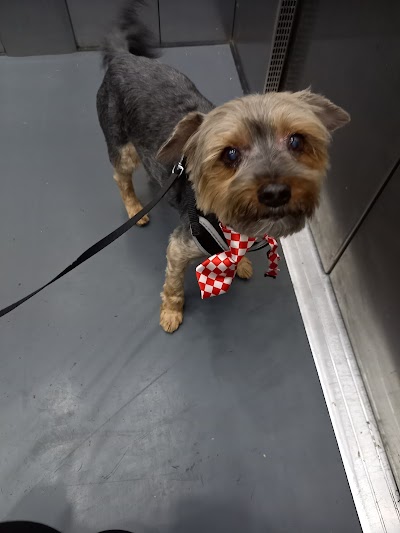 Grooming Van Image