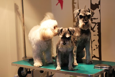 Grooming Van Image