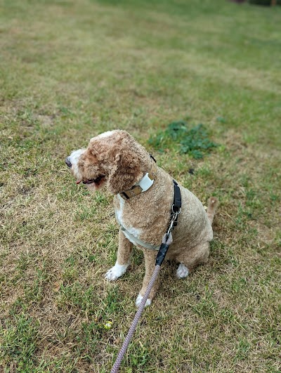 Grooming Van Image