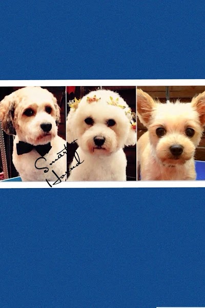 Grooming Van Image