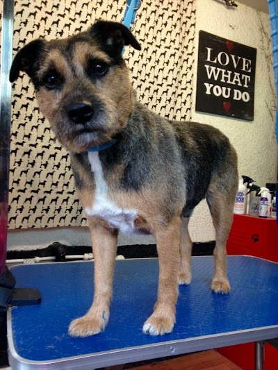 Grooming Van Image