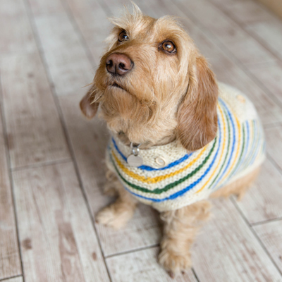 Grooming Van Image