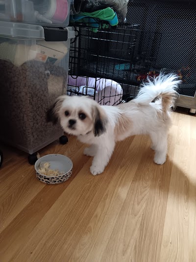 Grooming Van Image
