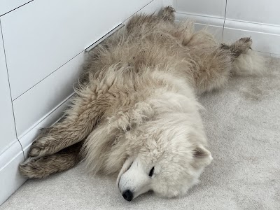 Grooming Van Image