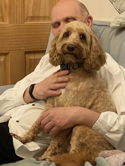 Grooming Van Image