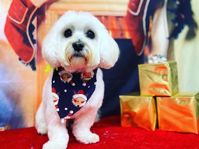 Grooming Van Image