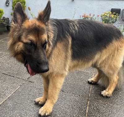 Grooming Van Image