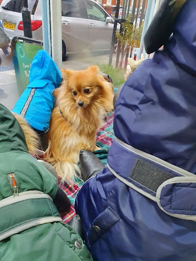 Grooming Van Image