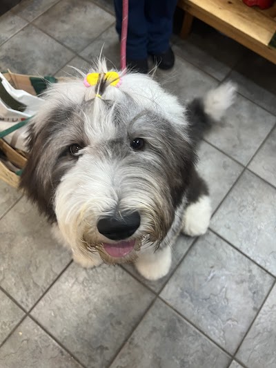 Grooming Van Image