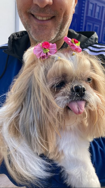 Grooming Van Image
