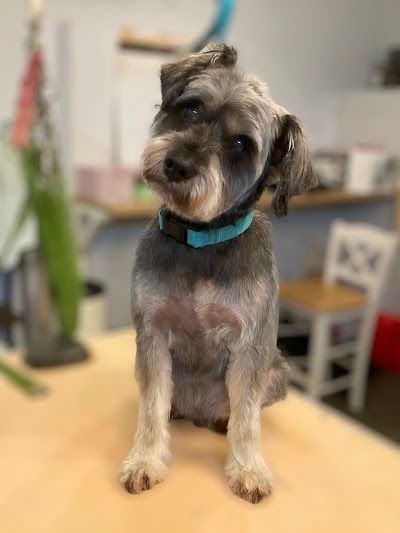 Grooming Van Image