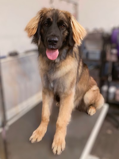 Grooming Van Image