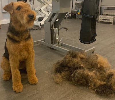 Grooming Van Image