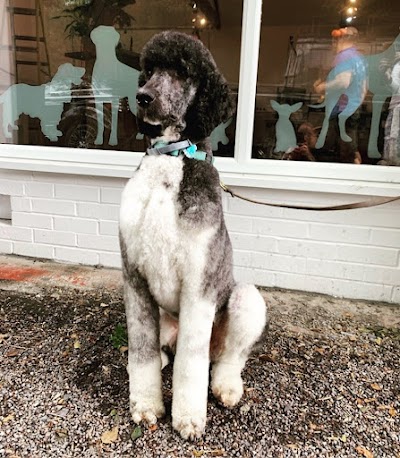 Grooming Van Image