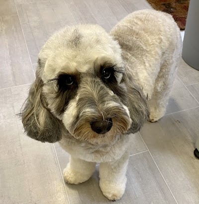 Grooming Van Image