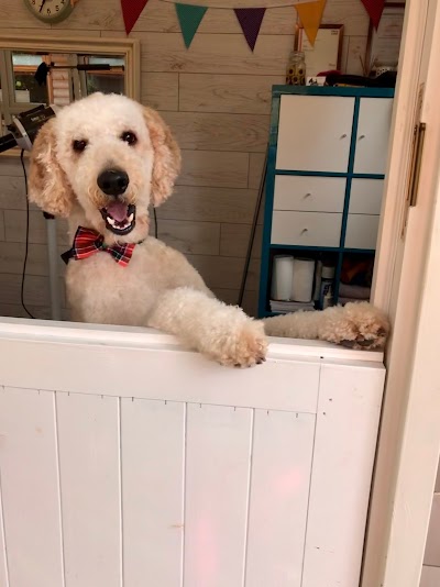 Grooming Van Image