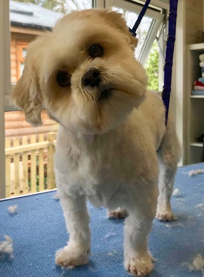 Grooming Van Image
