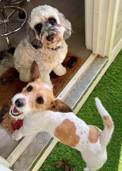 Grooming Van Image