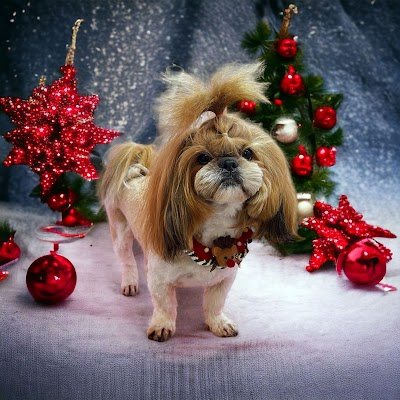 Grooming Van Image