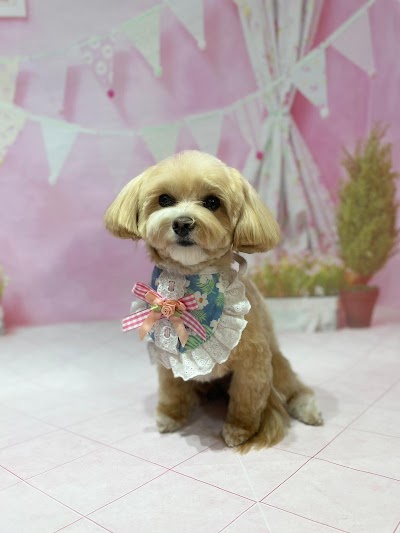 Grooming Van Image