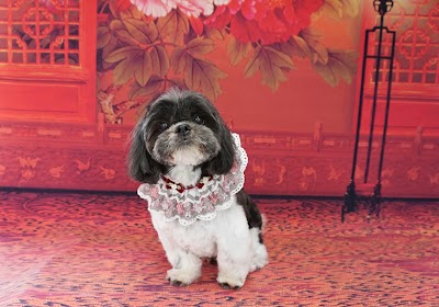 Grooming Van Image