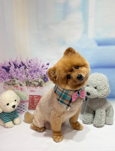 Grooming Van Image