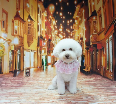 Grooming Van Image