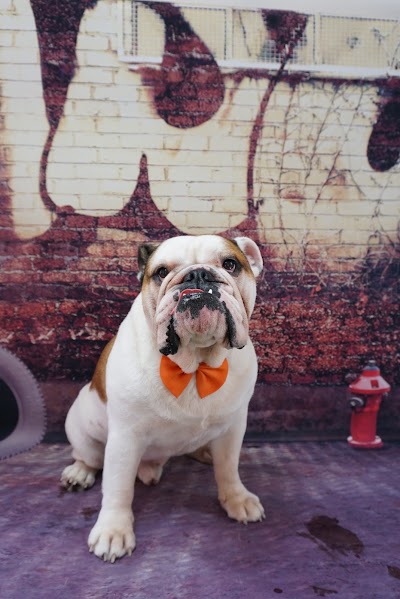 Grooming Van Image
