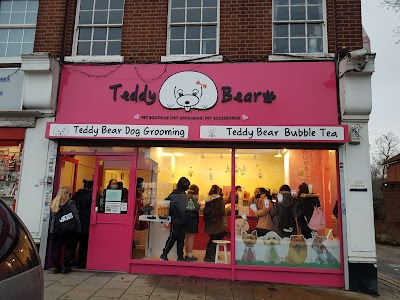 Teddy Bear Dog Grooming
