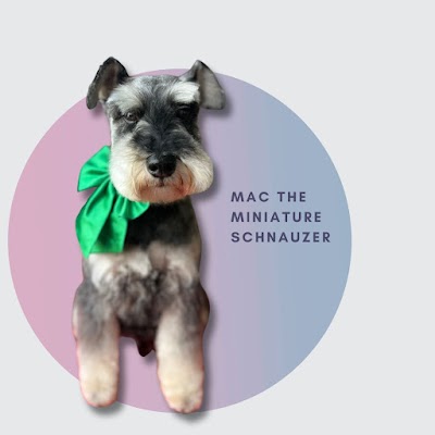 Grooming Van Image
