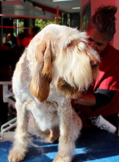 Grooming Van Image