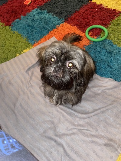 Grooming Van Image