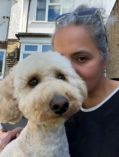 The Artful Dog Grooming Parlour. Low-stress, one-to-one dog grooming.