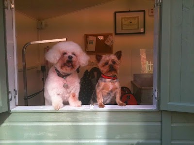 Grooming Van Image