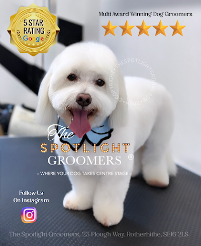 Grooming Van Image