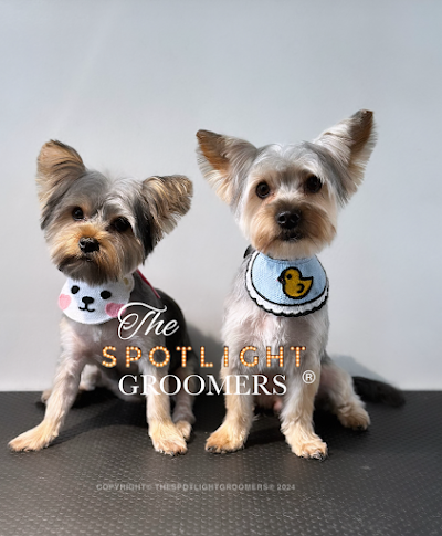Grooming Van Image