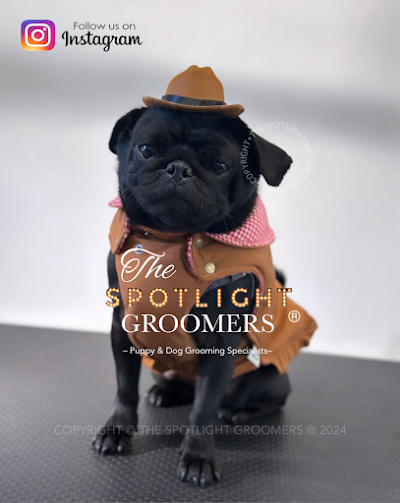 Grooming Van Image
