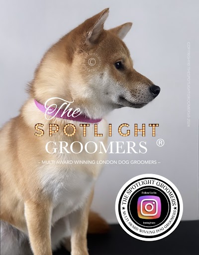 Grooming Van Image