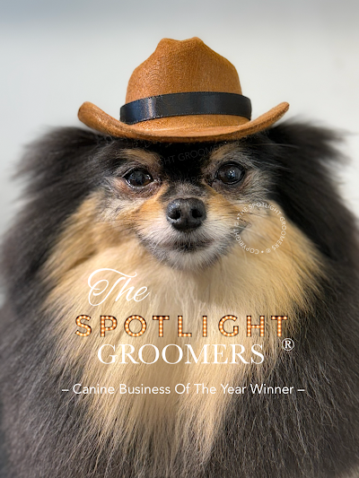 The Spotlight Groomers - Puppy & Dog Grooming Experts London