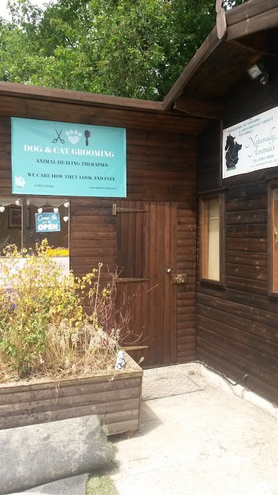 Grooming Van Image
