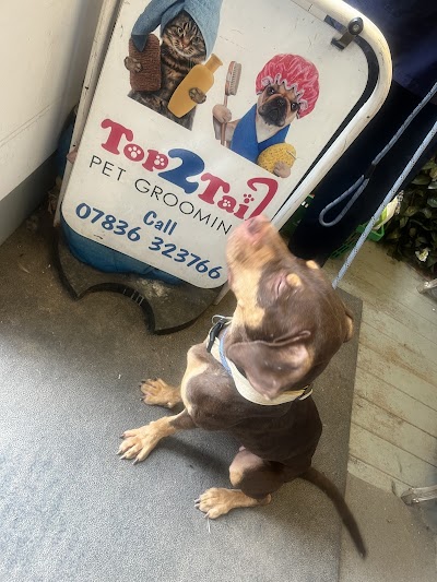 Grooming Van Image